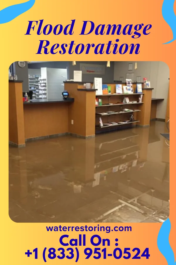 Flood Damage Restoration in Haines City, FL