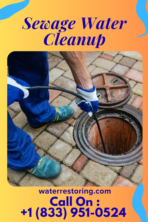 Sewage Water Cleanup in Haines City, FL