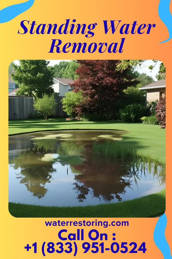 Standing Water Removal in Haines City, FL